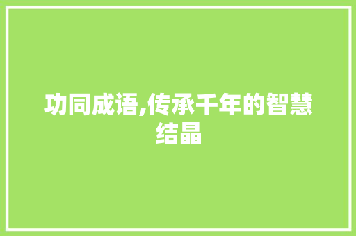 功同成语,传承千年的智慧结晶