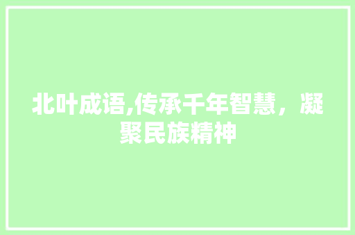 北叶成语,传承千年智慧，凝聚民族精神