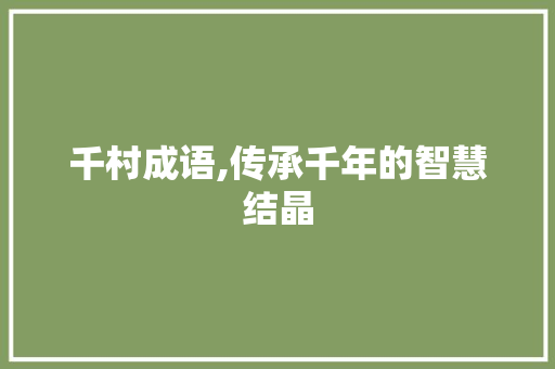 千村成语,传承千年的智慧结晶
