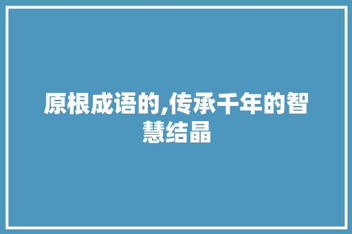 原根成语的,传承千年的智慧结晶 诗词鉴赏