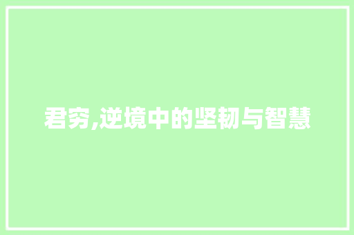君穷,逆境中的坚韧与智慧