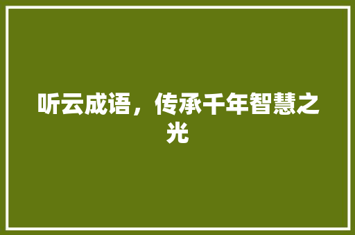 听云成语，传承千年智慧之光