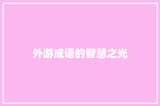外游成语的智慧之光