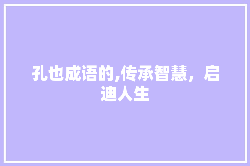 孔也成语的,传承智慧，启迪人生