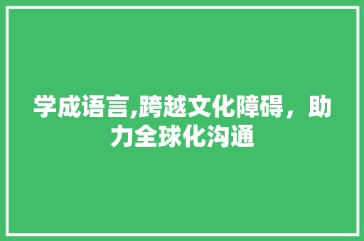 学成语言,跨越文化障碍，助力全球化沟通
