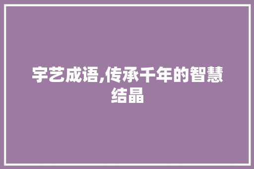 宇艺成语,传承千年的智慧结晶