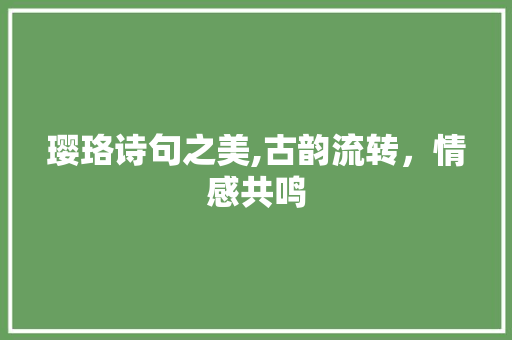 璎珞诗句之美,古韵流转，情感共鸣