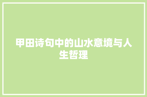 甲田诗句中的山水意境与人生哲理