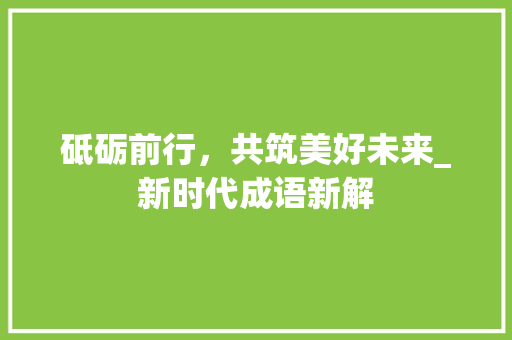 砥砺前行，共筑美好未来_新时代成语新解