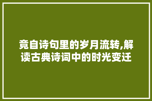 竟自诗句里的岁月流转,解读古典诗词中的时光变迁