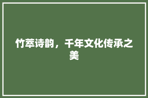 竹萃诗韵，千年文化传承之美