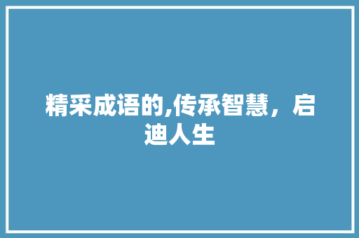 精采成语的,传承智慧，启迪人生