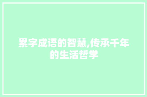 累字成语的智慧,传承千年的生活哲学 会议纪要