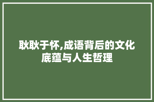 耿耿于怀,成语背后的文化底蕴与人生哲理