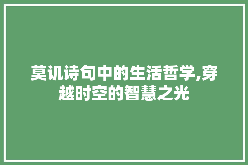 莫讥诗句中的生活哲学,穿越时空的智慧之光