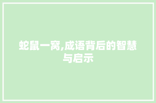 蛇鼠一窝,成语背后的智慧与启示