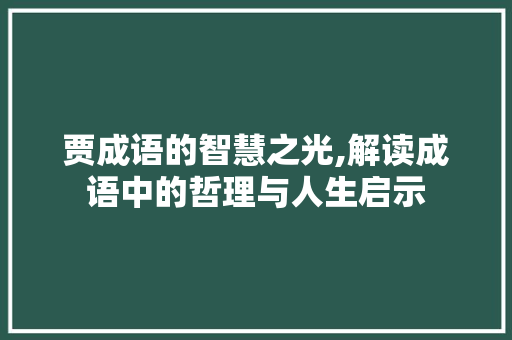 贾成语的智慧之光,解读成语中的哲理与人生启示