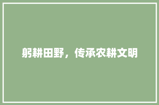 躬耕田野，传承农耕文明