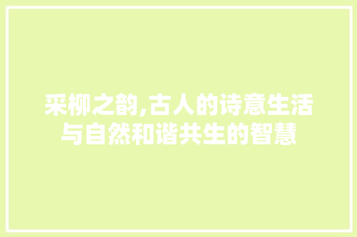 采柳之韵,古人的诗意生活与自然和谐共生的智慧