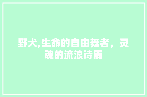 野犬,生命的自由舞者，灵魂的流浪诗篇