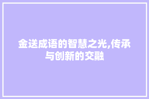 金送成语的智慧之光,传承与创新的交融