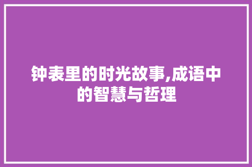 钟表里的时光故事,成语中的智慧与哲理