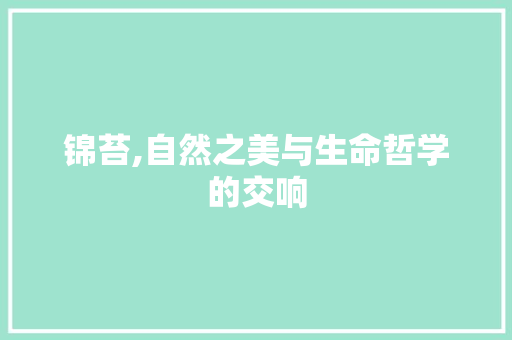 锦苔,自然之美与生命哲学的交响