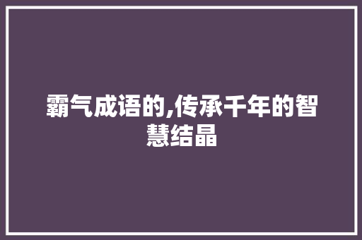 霸气成语的,传承千年的智慧结晶