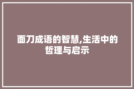 面刀成语的智慧,生活中的哲理与启示