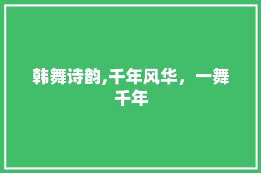 韩舞诗韵,千年风华，一舞千年