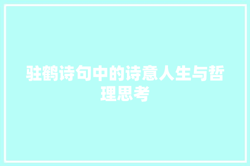 驻鹤诗句中的诗意人生与哲理思考