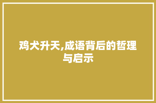 鸡犬升天,成语背后的哲理与启示
