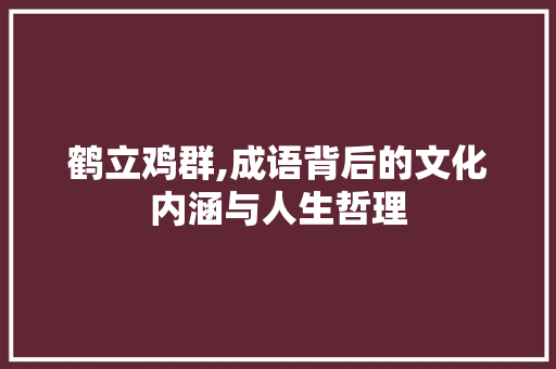 鹤立鸡群,成语背后的文化内涵与人生哲理