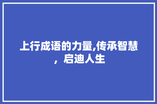 上行成语的力量,传承智慧，启迪人生