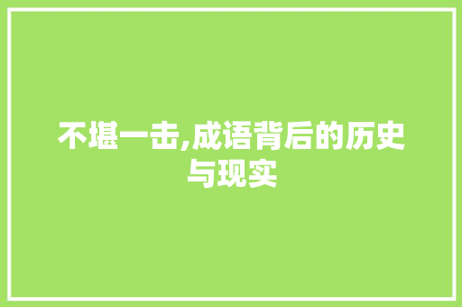 不堪一击,成语背后的历史与现实