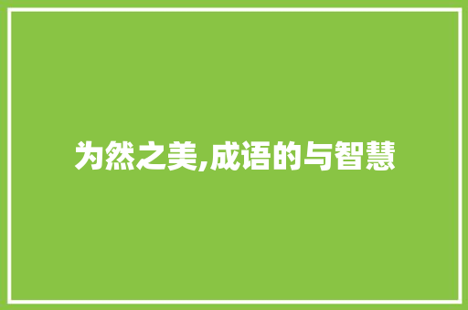 为然之美,成语的与智慧
