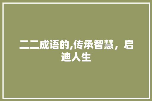 二二成语的,传承智慧，启迪人生
