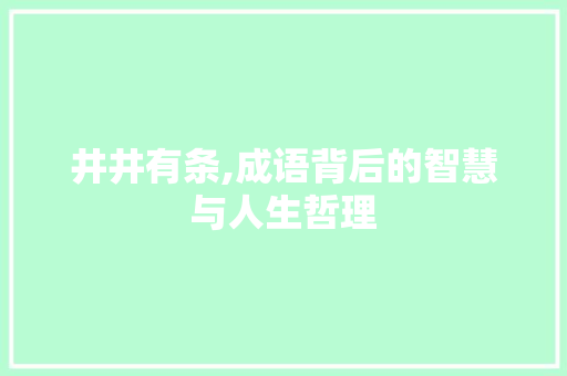 井井有条,成语背后的智慧与人生哲理