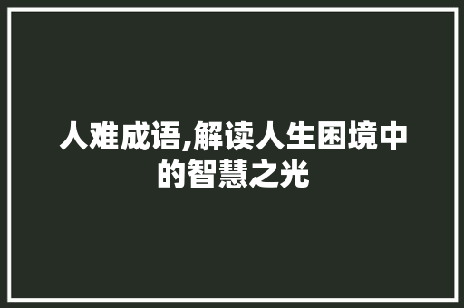 人难成语,解读人生困境中的智慧之光