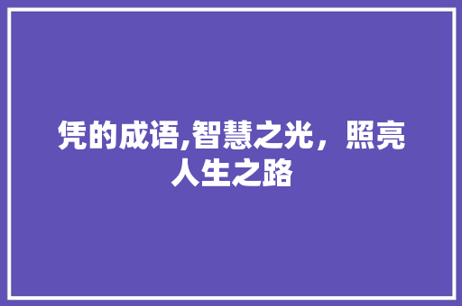 凭的成语,智慧之光，照亮人生之路