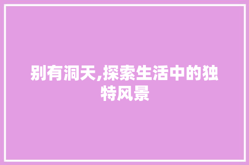 别有洞天,探索生活中的独特风景