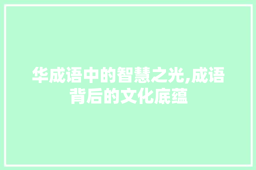 华成语中的智慧之光,成语背后的文化底蕴