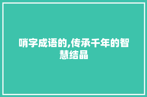 哨字成语的,传承千年的智慧结晶