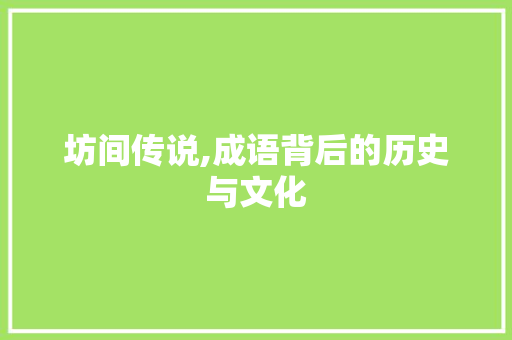坊间传说,成语背后的历史与文化