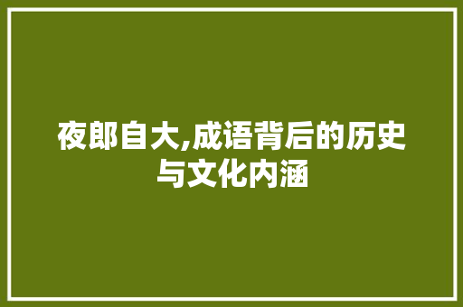 夜郎自大,成语背后的历史与文化内涵