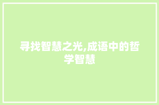 寻找智慧之光,成语中的哲学智慧