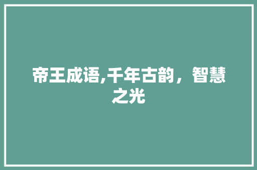 帝王成语,千年古韵，智慧之光 工作总结
