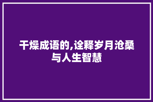 干燥成语的,诠释岁月沧桑与人生智慧