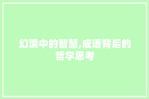 幻境中的智慧,成语背后的哲学思考 应用文