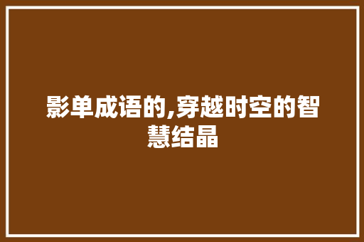 影单成语的,穿越时空的智慧结晶